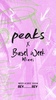 PEAKS @ Basel Week Miami